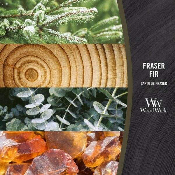 Sójová vonná svíčka frasier fir Woodwick 1 ks