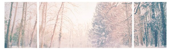 Obraz - Výhled do lesa (170x50 cm)