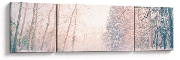 Obraz - Výhled do lesa (170x50 cm)