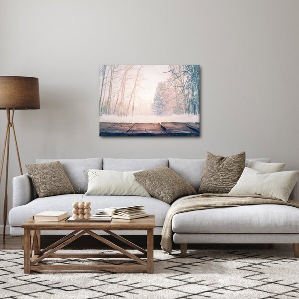 Obraz - Výhled do lesa (70x50 cm)