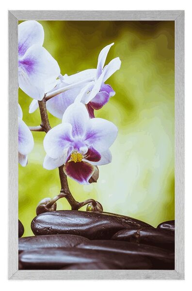 Plakát zen kameny a orchidej