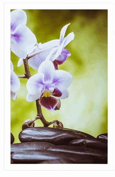 Plakát zen kameny a orchidej
