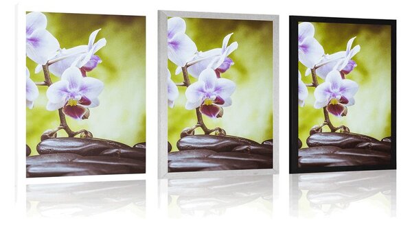 Plakát zen kameny a orchidej
