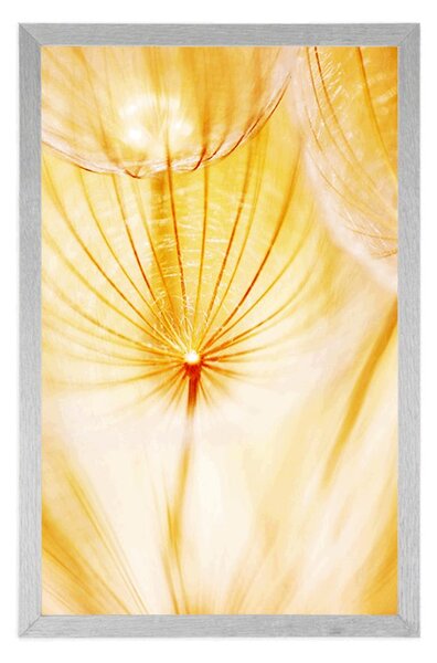 Plakát pampeliška ve žlutém provedení