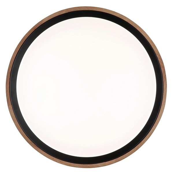 STROPNÍ LED SVÍTIDLO, 38/9,5 cm Globo - Online Only svítidla, Online Only