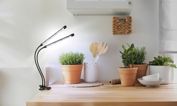 LED SVÍTIDLO SE SVORKOU, 45/41/47 cm Globo - Online Only svítidla, Online Only