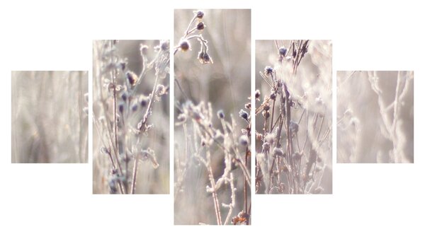 Obraz - Rostlina (125x70 cm)