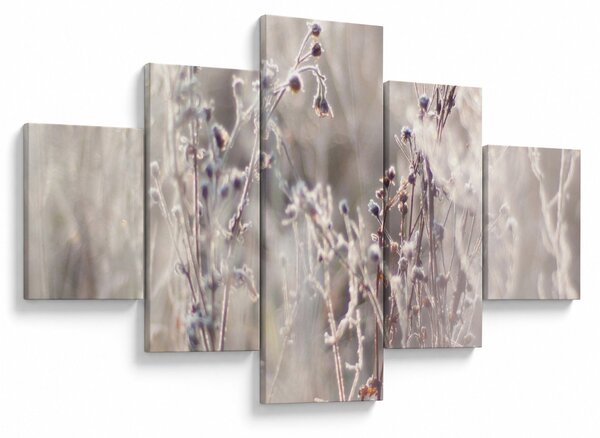Obraz - Rostlina (125x70 cm)
