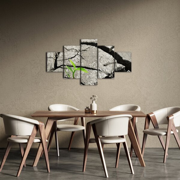 Obraz - Praskliny (125x70 cm)