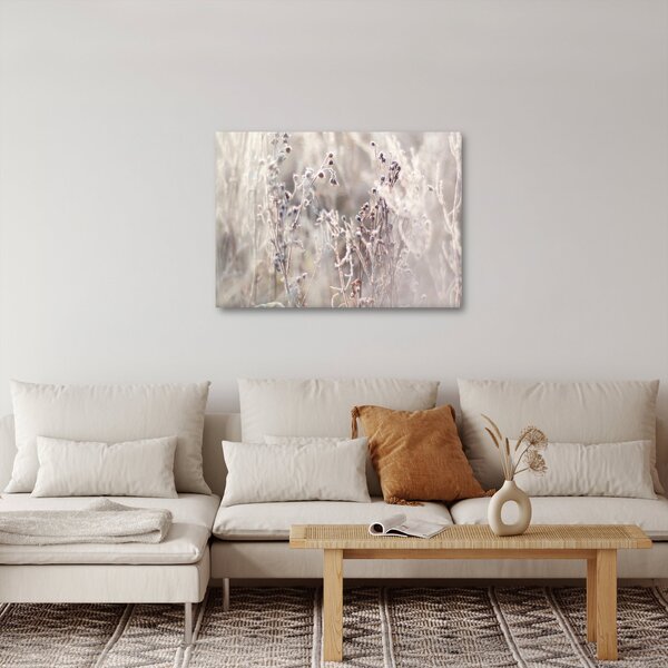 Obraz - Rostlina (70x50 cm)