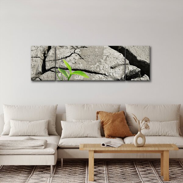 Obraz - Praskliny (170x50 cm)