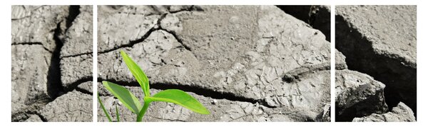 Obraz - Praskliny (170x50 cm)
