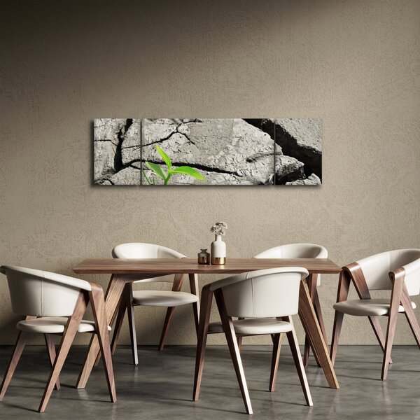 Obraz - Praskliny (170x50 cm)