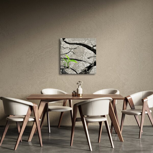 Obraz - Praskliny (30x30 cm)