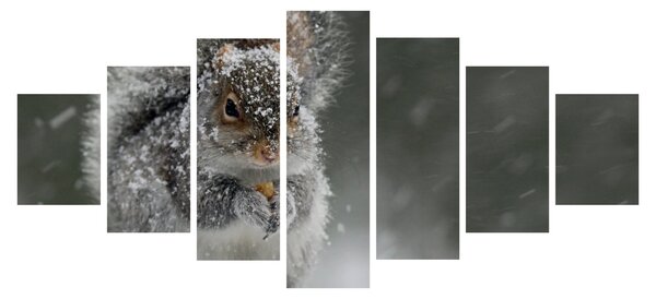 Obraz - Veverka v zimě (210x100 cm)
