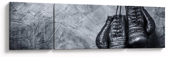 Obraz - Boxerské rukavice (170x50 cm)