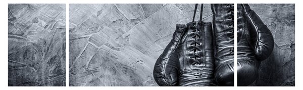 Obraz - Boxerské rukavice (170x50 cm)
