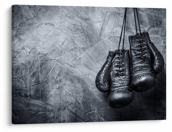 Obraz - Boxerské rukavice (70x50 cm)