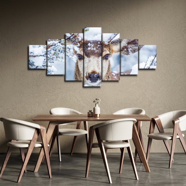 Obraz - Jelenec ušatý (210x100 cm)