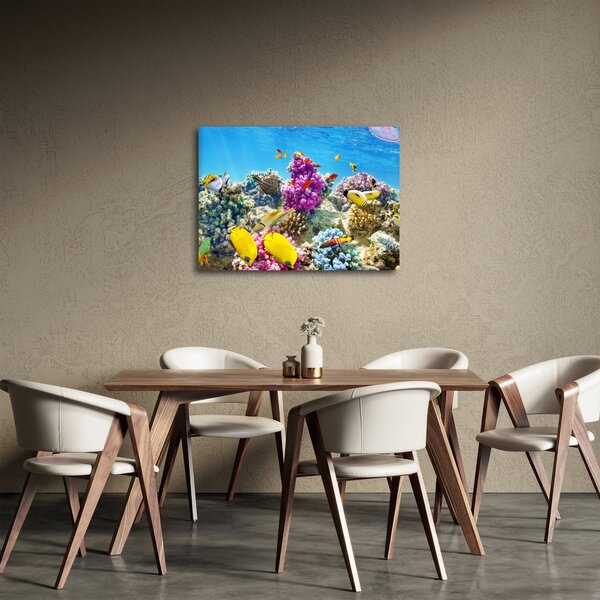 Obraz - Mořský svět (70x50 cm)