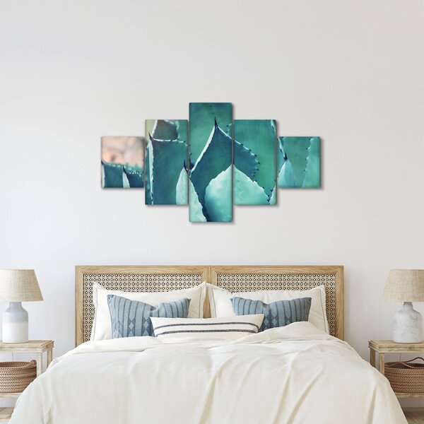 Obraz - Sukulent (125x70 cm)