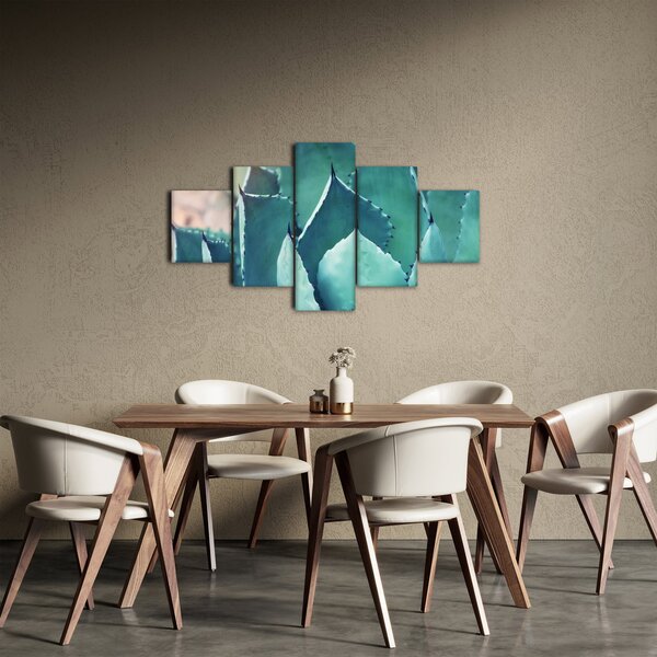 Obraz - Sukulent (125x70 cm)