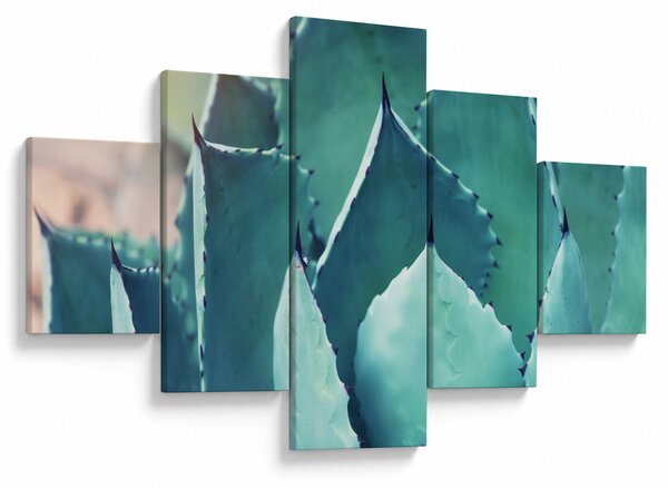 Obraz - Sukulent (125x70 cm)