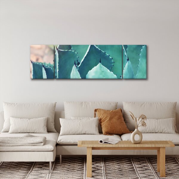 Obraz - Sukulent (170x50 cm)