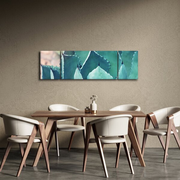 Obraz - Sukulent (170x50 cm)