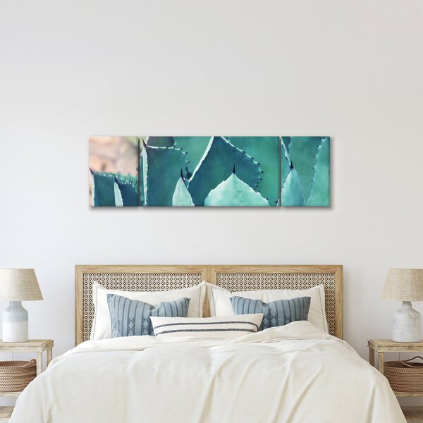 Obraz - Sukulent (170x50 cm)