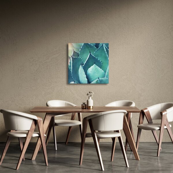 Obraz - Sukulent (30x30 cm)
