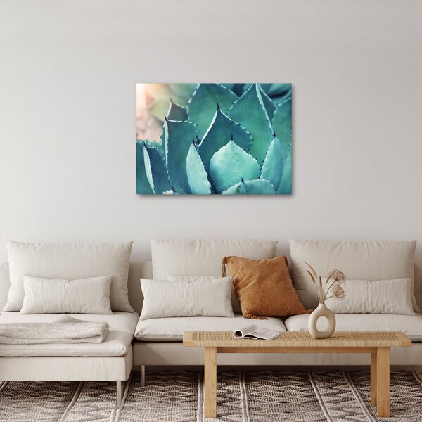 Obraz - Sukulent (70x50 cm)
