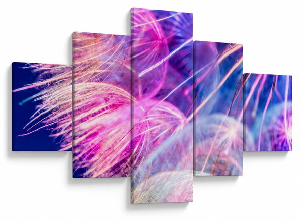 Obraz - Makro (125x70 cm)