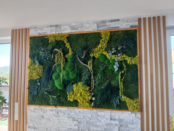 Exkluzivní mechový obraz s rostlinami 200cm x 100cm
