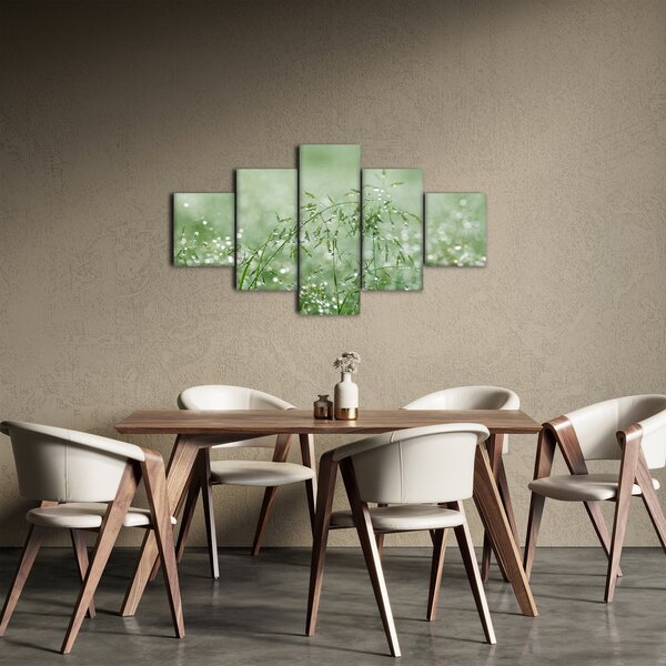Obraz - Rosa v trávě (125x70 cm)