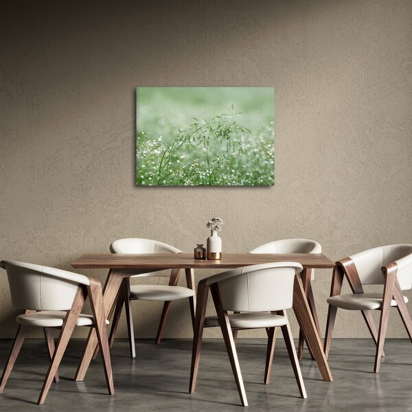 Obraz - Rosa v trávě (70x50 cm)
