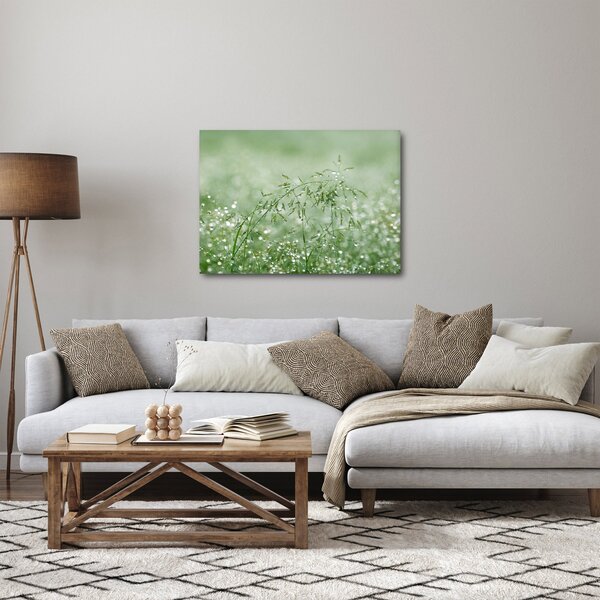Obraz - Rosa v trávě (70x50 cm)