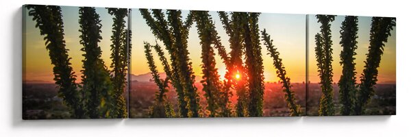 Obraz - Rostliny (170x50 cm)