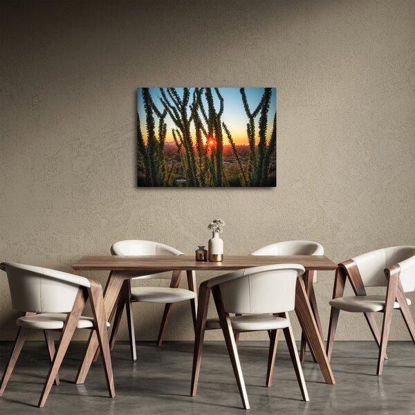 Obraz - Rostliny (70x50 cm)