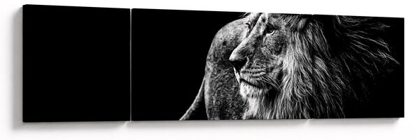 Obraz - Lev (170x50 cm)