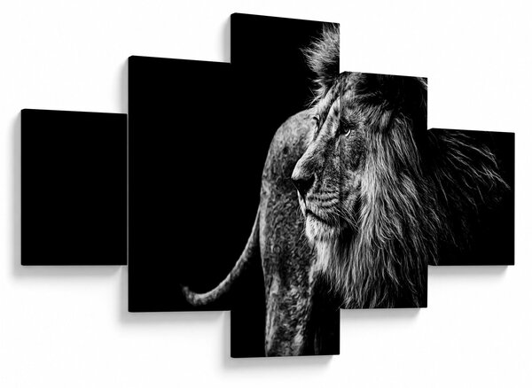 Obraz - Lev (125x70 cm)