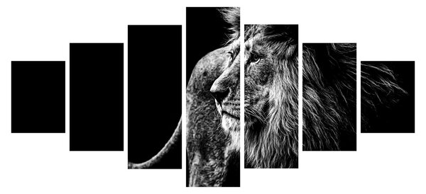 Obraz - Lev (210x100 cm)