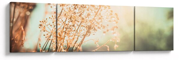 Obraz - Luční rostliny (170x50 cm)