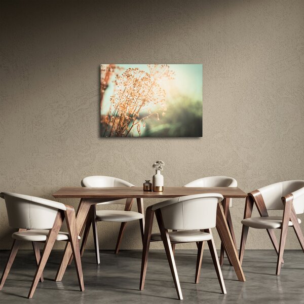 Obraz - Luční rostliny (70x50 cm)