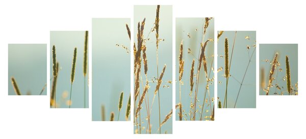 Obraz - Luční okamžik (210x100 cm)