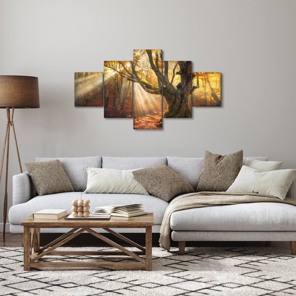Obraz - Podzimní svit (125x70 cm)