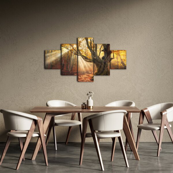 Obraz - Podzimní svit (125x70 cm)
