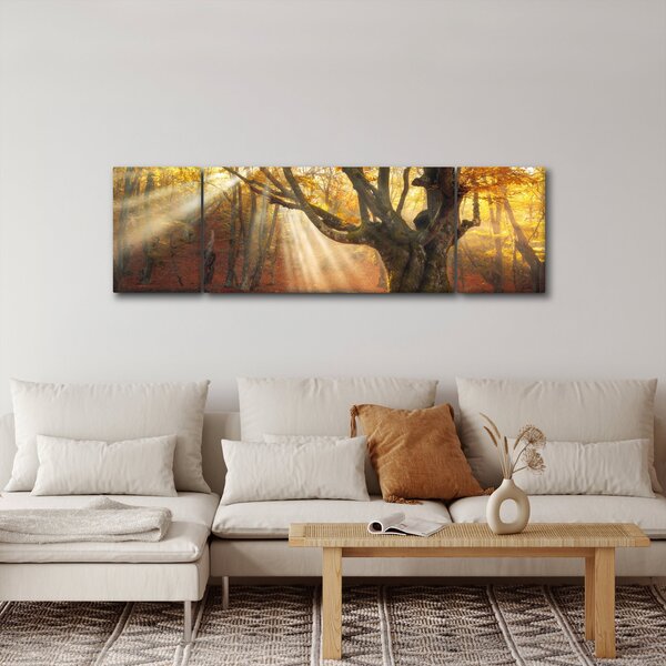 Obraz - Podzimní svit (170x50 cm)