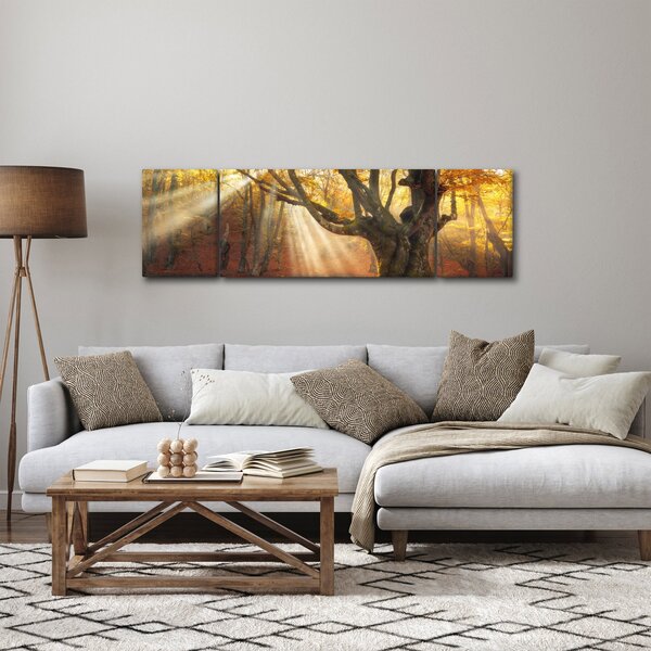 Obraz - Podzimní svit (170x50 cm)