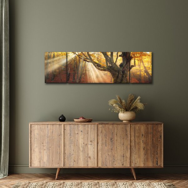 Obraz - Podzimní svit (170x50 cm)